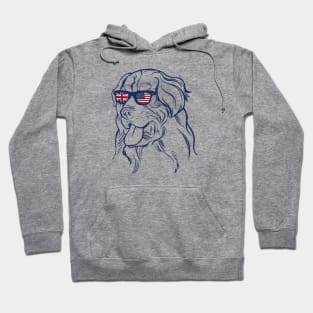 Dog US UK sunglasses Hoodie